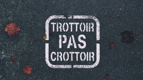 Avis aux sportifs, ces écouteurs ouverts sont très abordables pendant les soldes d’été