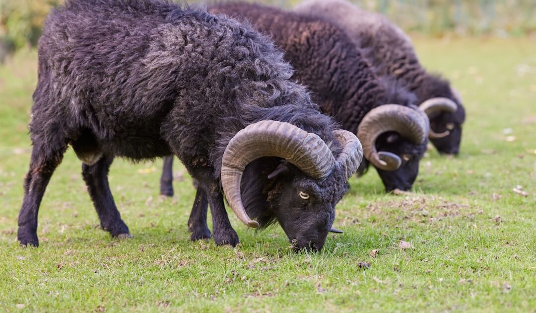 Pénurie de RAM ou énorme complot ? Les trois géants de la mémoire traînés en justice pour entente illégale