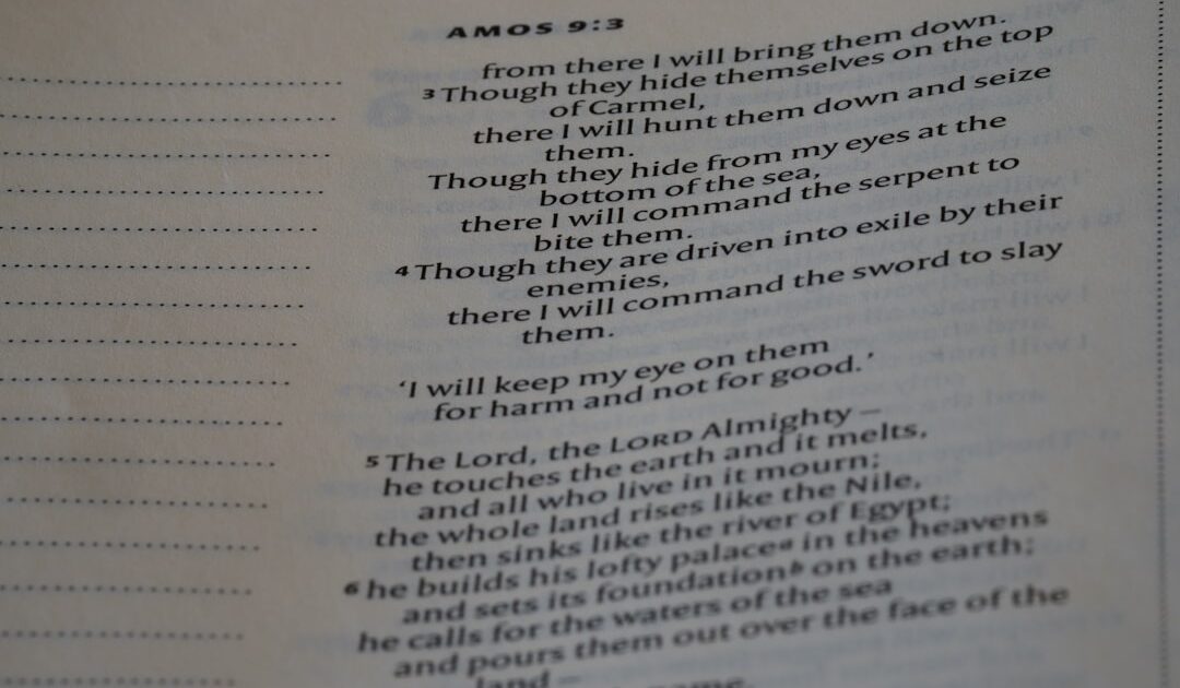 Anthropic lance Claude Sonnet 5, presque aussi bon qu’Opus 4.8 et bien moins cher