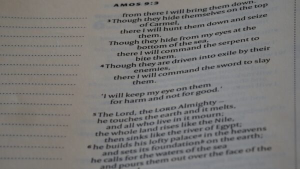 Anthropic lance Claude Sonnet 5, presque aussi bon qu’Opus 4.8 et bien moins cher