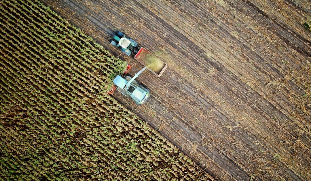 Le Crédit Agricole lance une application pour remplacer Apple Pay : pourquoi c’est une fausse bonne idée