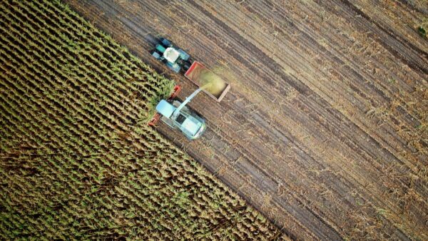 Le Crédit Agricole lance une application pour remplacer Apple Pay : pourquoi c’est une fausse bonne idée