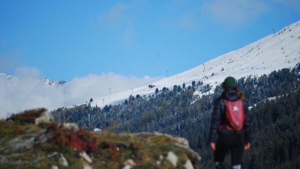 « On fait face à une montagne » – L’OCDE réclame un important redressement budgétaire à la France