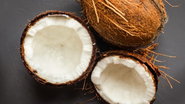 Pénurie de noix de coco : l’improbable crise qui menace les batteries chinoises au sodium