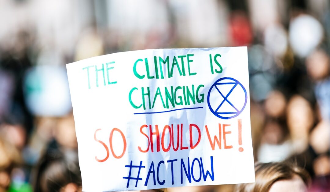 « Le changement climatique a désormais la main » : nos forêts face à un point de bascule ?