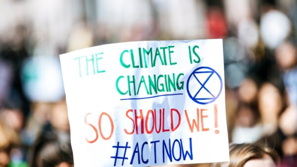 « Le changement climatique a désormais la main » : nos forêts face à un point de bascule ?