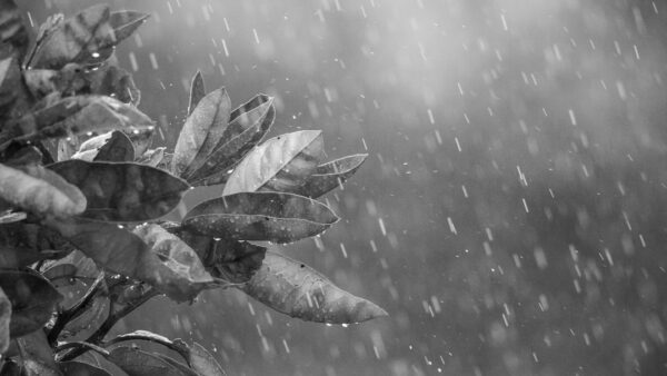 « C’est hyper efficace contre la pluie, le froid et le vent » : on a découvert le sur-pantalon vélo de JUP-ON, qui s’enfile en quelques secondes seulement