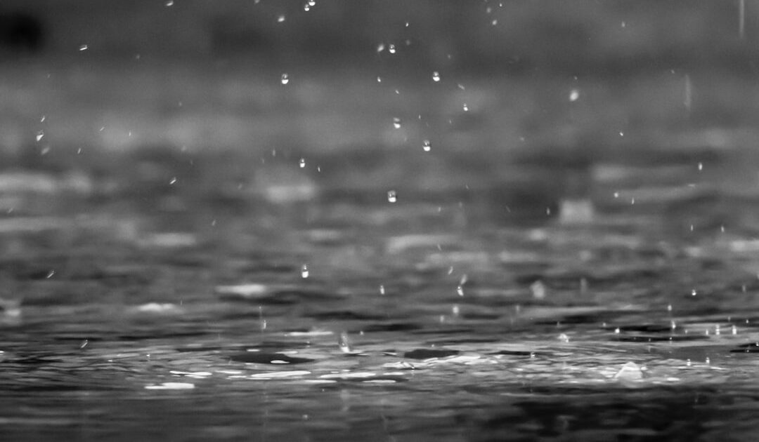 15 jours de pluie torrentielle, 7 jours de canicule : un mois de test en vélo cargo Gaya