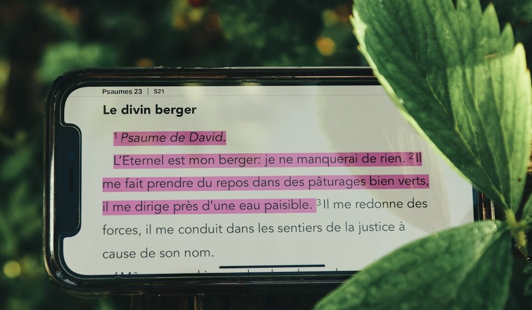 Eco.French.Lab : l&rsquo;agence de marketing olfactif et de création de parfums sur-mesure