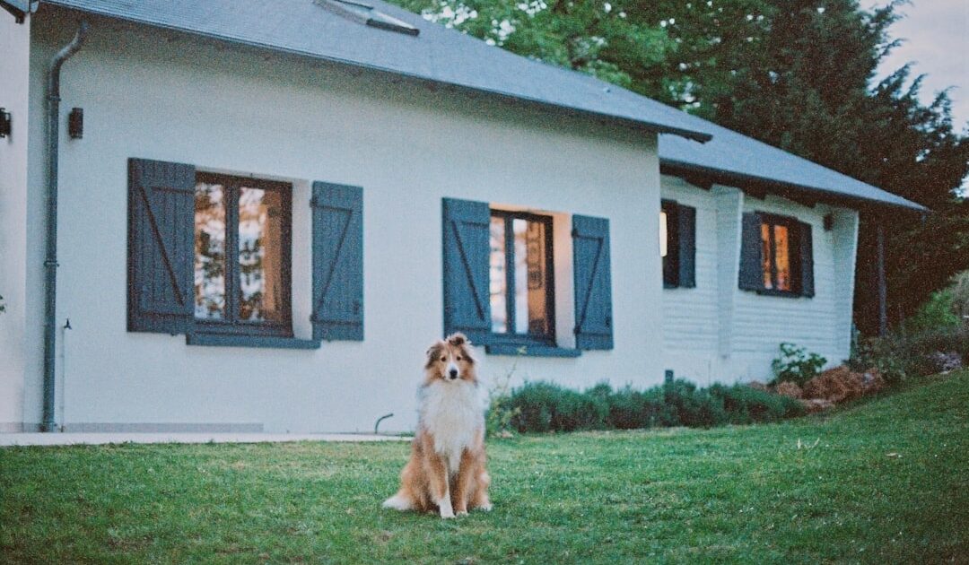 Idéale pour surveiller votre maison cet été, cette caméra Xiaomi avec double objectif 2K est soldée à prix mini