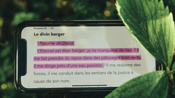 La crise de la mémoire fait plonger les smartphones, Samsung et Apple en profitent comme ils peuvent
