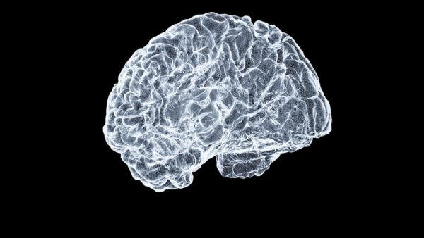 Un implant dans le cerveau sans opération : la Chine imagine son alternative à Neuralink