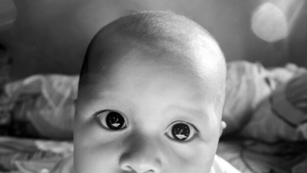 « Les photos de bébé de mon fils ? DISPARUES ! » Microsoft lui bloque 25 ans de données par excès de sécurité