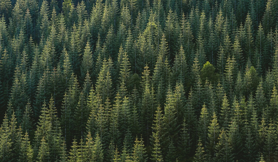 « C’est l’arbre qui cache la forêt » : le Sénat veut mieux réguler le financement privé des politiques publiques… et cible la « galaxie Stérin »