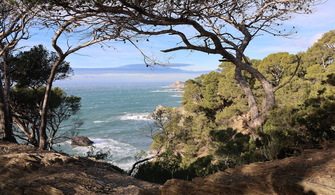 14 hectares, vue panoramique sur la Méditerranée : en Corse, l’incroyable demeure d’un personnage historique cherche son nouvel acquéreur