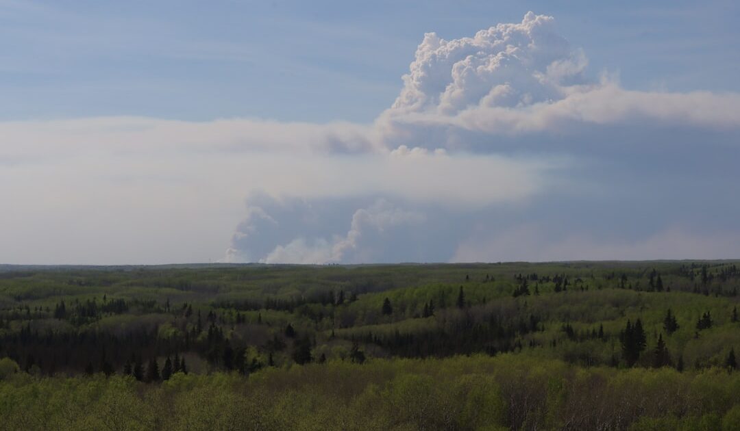 Mondial 2026 : des feux de forêt du Canada polluent l’air américain avant la finale, Donald Trump menace ses voisins de nouveaux droits de douane