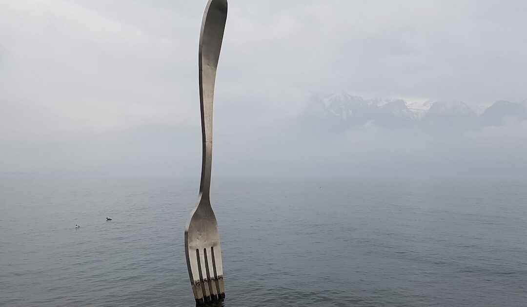 Cardano : le hard fork Van Rossem est officiellement activé