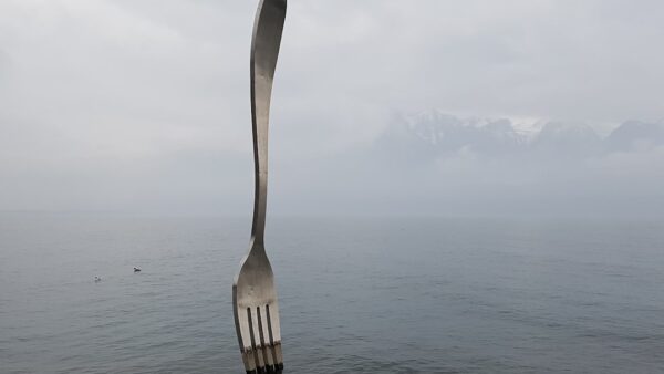 Cardano : le hard fork Van Rossem est officiellement activé