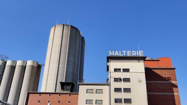 Meilleure manette PC en 2026 : notre comparatif des meilleures manettes gaming