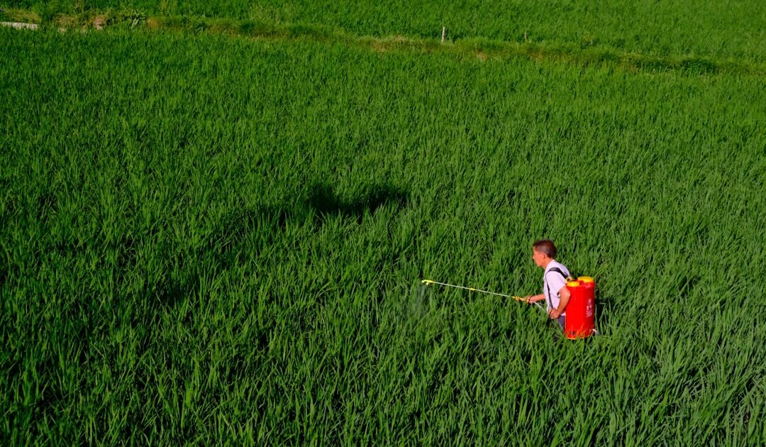 Pesticides, eau, loups… : les grandes mesures de la loi d’urgence agricole, sur laquelle le camp gouvernemental se déchire