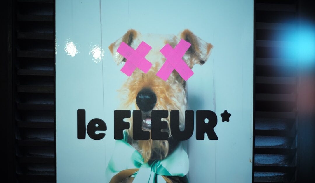 Le film L’Odyssée est né grâce à un chien… et c’est Nolan qui le dit