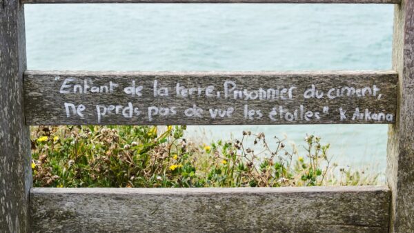 Comment profiter des Perséides, les superbes étoiles filantes du ciel de l’été ?