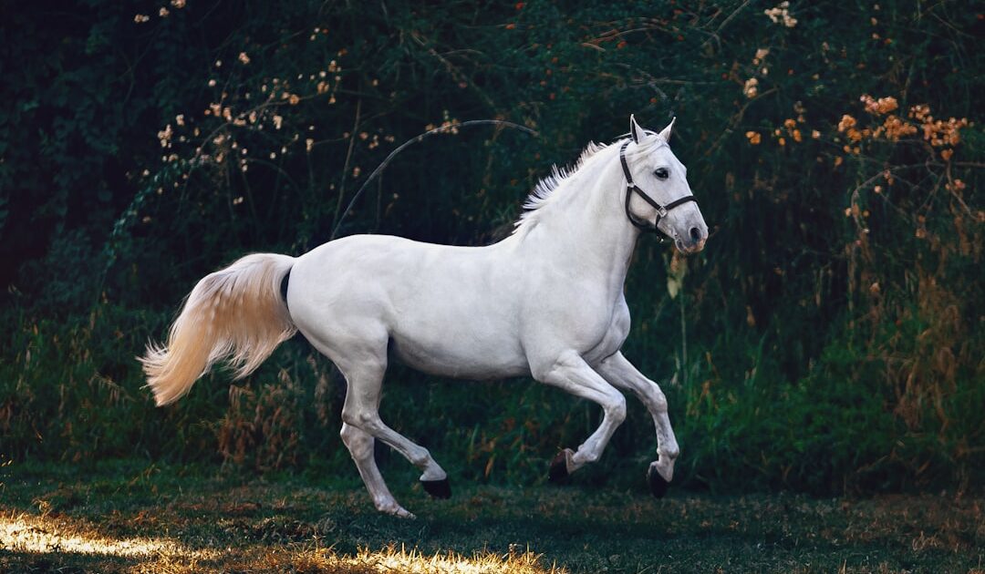 Adieu l’électrique ? HORSE dévoile un prolongateur d’autonomie écologique alimenté au méthanol
