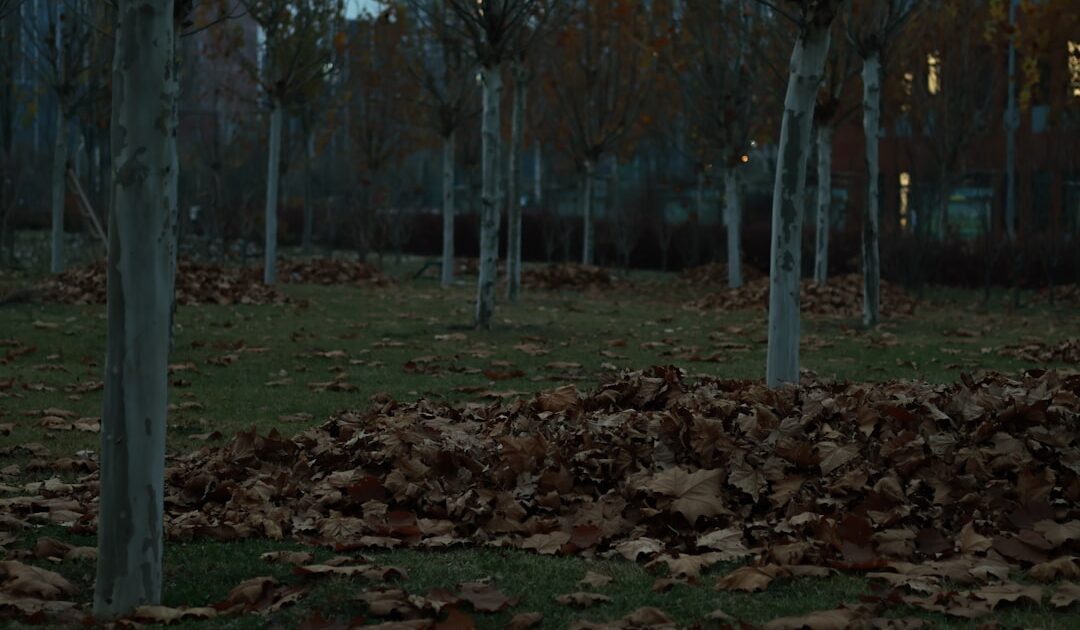Avant les Nazgûl, les Nazgnagôl : la saison 3 des Anneaux de pouvoir va révéler l’asservissement des seigneurs humains