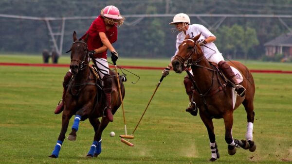 Faut-il encore acheter une Polo essence ? On l’a confrontée à la nouvelle ID. Polo électrique et le verdict est sans appel