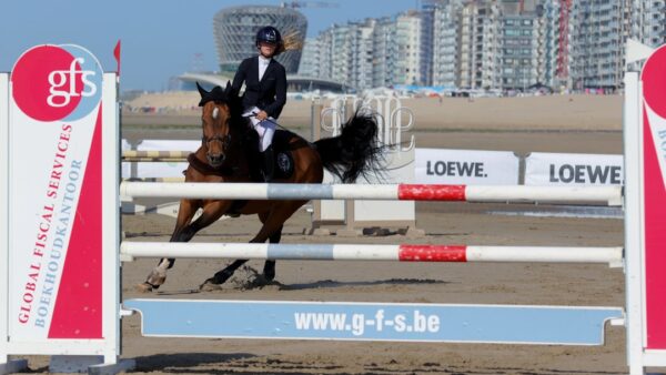 Grand Prix de Hongrie 2026 : où voir la course ce dimanche gratuitement en direct