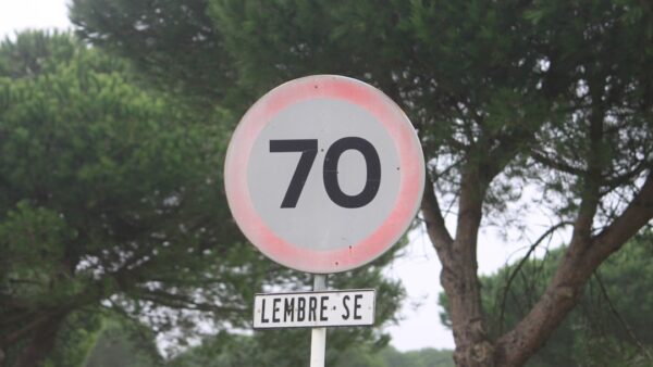 Bénéfices en chute de 70 % : les Hériard Dubreuil, un siècle de saga familiale face aux défis des années 2020