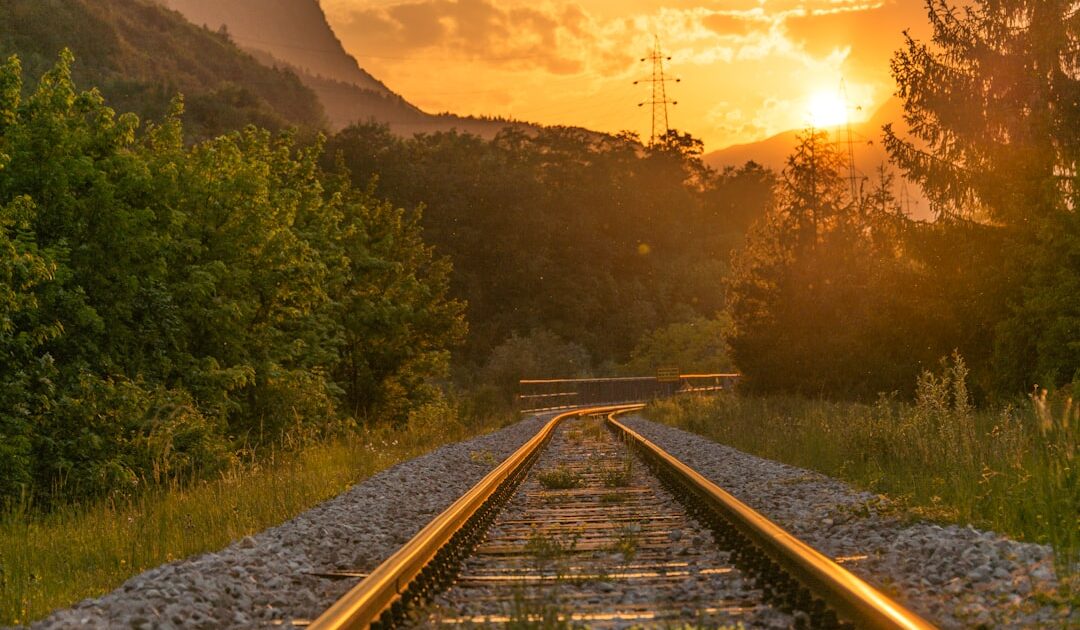 Panneaux solaires sur les rails : pourquoi la fausse bonne idée de la SNCF se heurte à la réalité