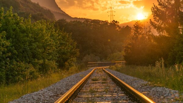 Panneaux solaires sur les rails : pourquoi la fausse bonne idée de la SNCF se heurte à la réalité