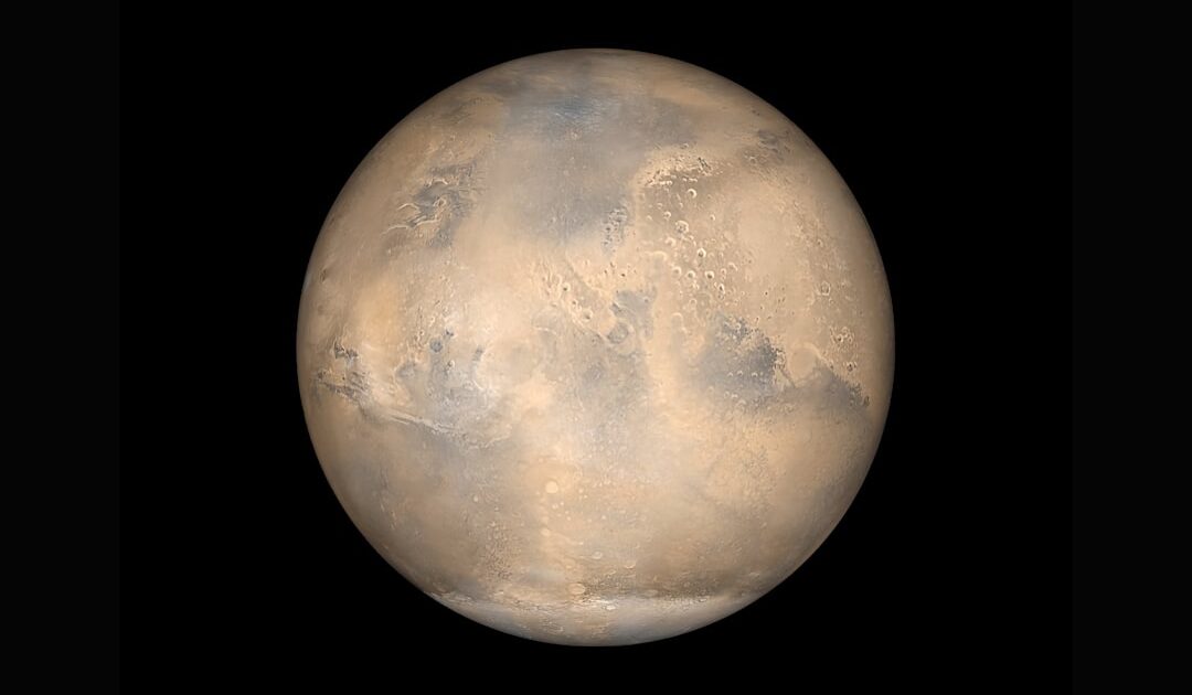 Des humains sur Mars dans « 5 à 7 ans » : Elon Musk réitère sa fameuse promesse