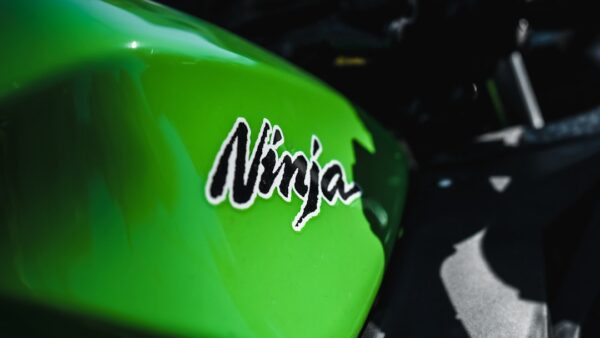 J’ai testé le Ninja BlendBoss : pourquoi ce petit blender a remplacé mon KitchenAid !