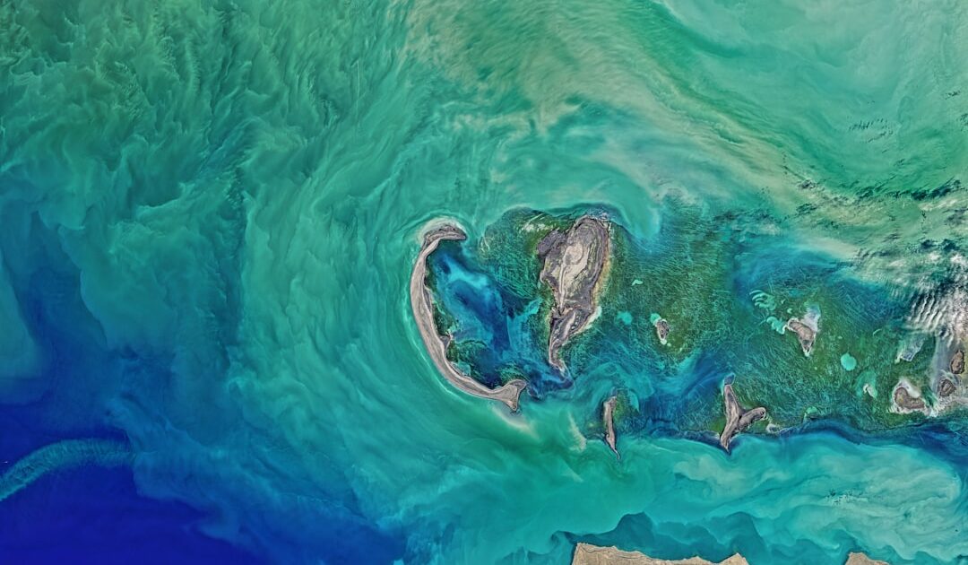 Pourquoi l’IA de Google Earth a été désactivée d’urgence