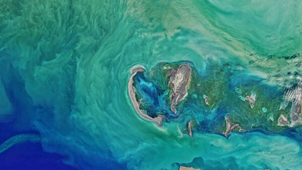 Pourquoi l’IA de Google Earth a été désactivée d’urgence