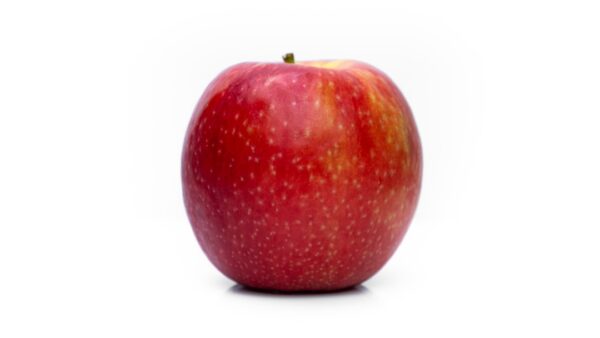 « Apple n’a jamais parlé d’un retard » : l’iPhone Ultra pourrait bien sortir à l’heure