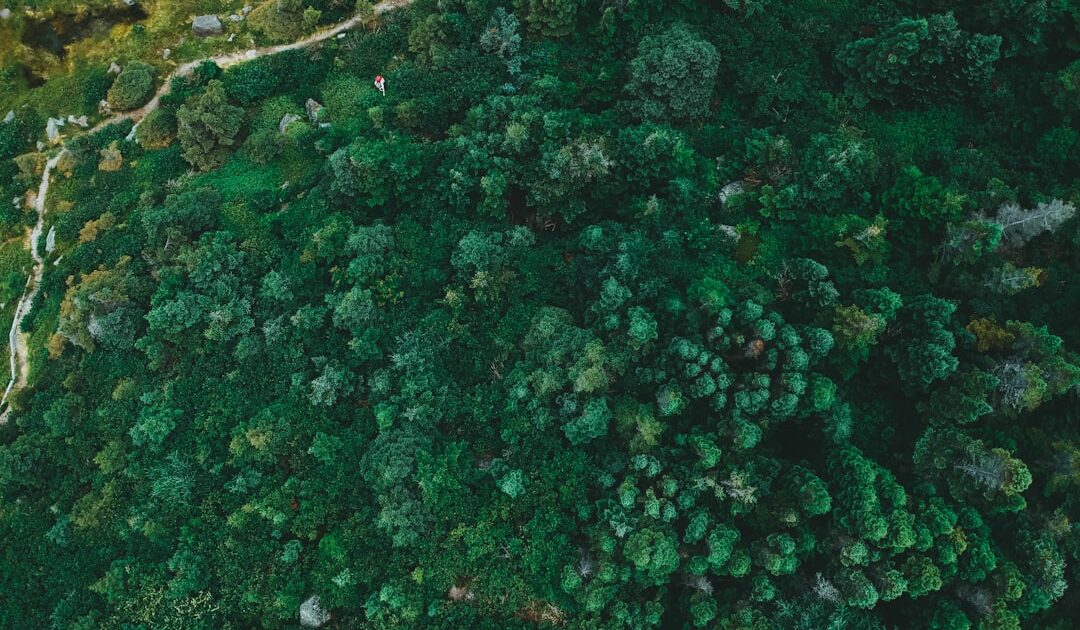 Enfin un environnement favorable à une reprise du Bitcoin ?