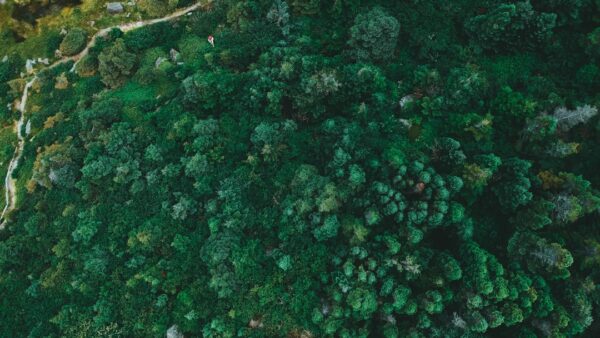 Enfin un environnement favorable à une reprise du Bitcoin ?