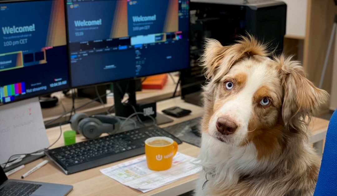 Vous avez un chien ou un chat ? Vos données ont peut-être été piratées