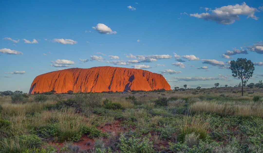 96 distributeurs de bitcoins fermés : l&rsquo;Australie sévit à son tour