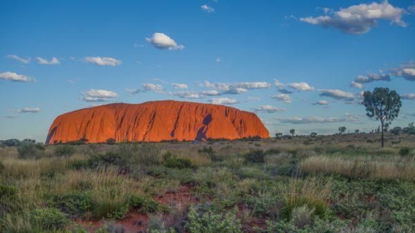 96 distributeurs de bitcoins fermés : l&rsquo;Australie sévit à son tour