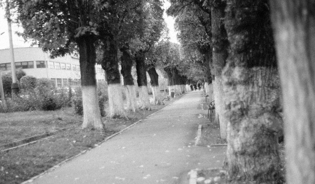 Immeubles, arbres, relief : cette carte vous dit si votre rue permettra de voir l’éclipse