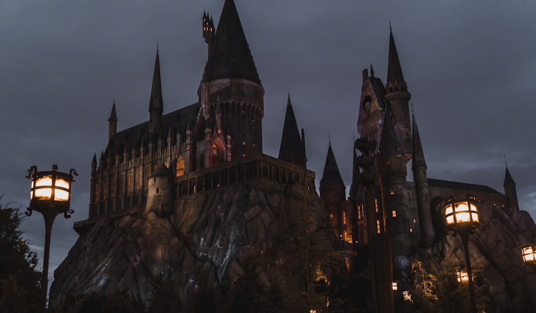 La saison 2 de la série Harry Potter accueille une star du cinéma