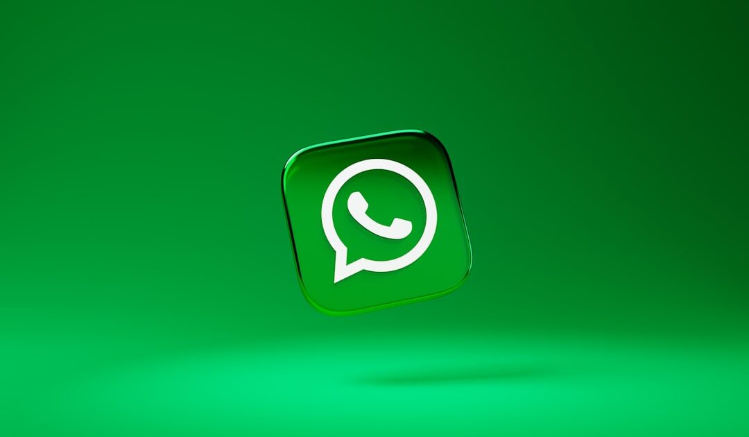 WhatsApp : un nouveau champ apparaît quand vous ajoutez un contact, voici à quoi il sert