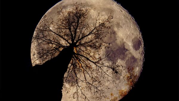 Les plus belles photos de l’éclipse, date de la prochaine éclipse et le boss de la NASA qui flingue 20 ans de dérive – le récap’ sciences