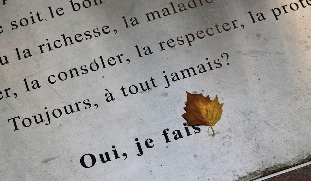 La fronde contre le marquage des textes de Claude s’organise : ces outils traquent déjà les failles du filigrane