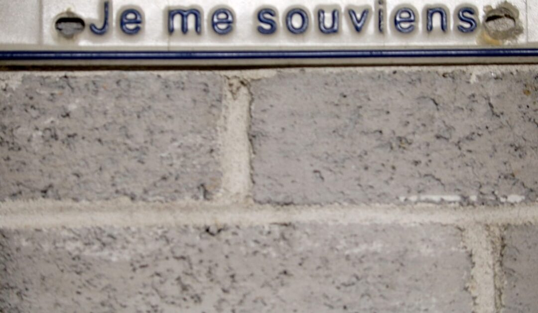 Il met définitivement balai + serpillère au placard : cet aspirateur vapeur laveur est quasi donné (-70%)