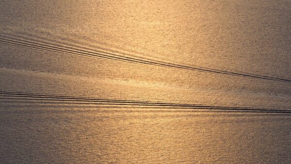 XRP bondit de 15 % : Le réseau de Ripple vit à l’heure des banquiers